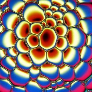 Meet your Posher, Avery